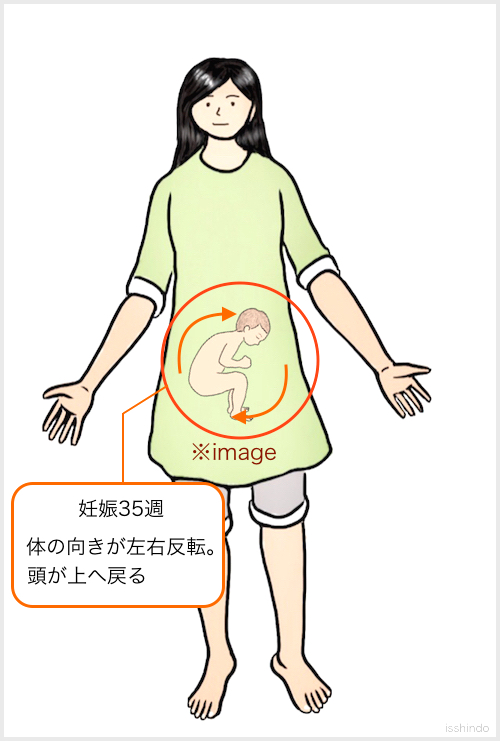 Sakago Case Htmlへの鍼灸治療