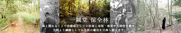一鍼堂保全林 -森と関わることで治療家としての技術と発想・感覚や人間性を磨き、当院より鍼師としての名医の輩出を目指し続けます。-